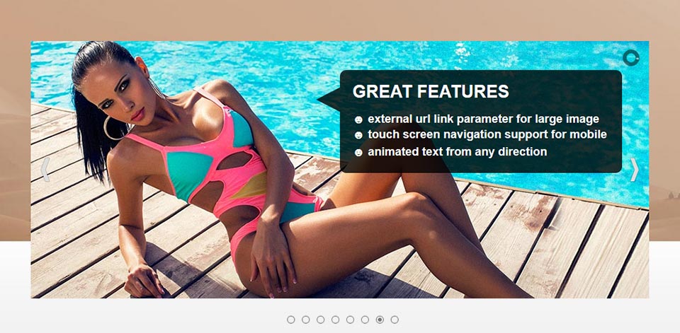 Content Slider - Website Boxed Size - Imposing Skin
