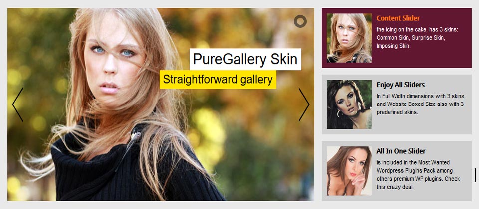 Full Width - Playlist Slider - Elegant Skin