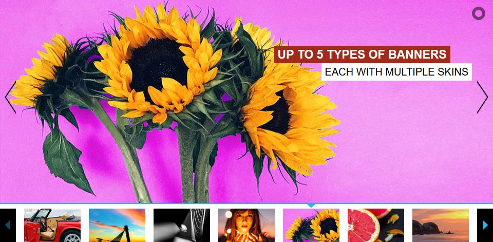 Thumbnails Slider - Website Boxed - Simple Skin