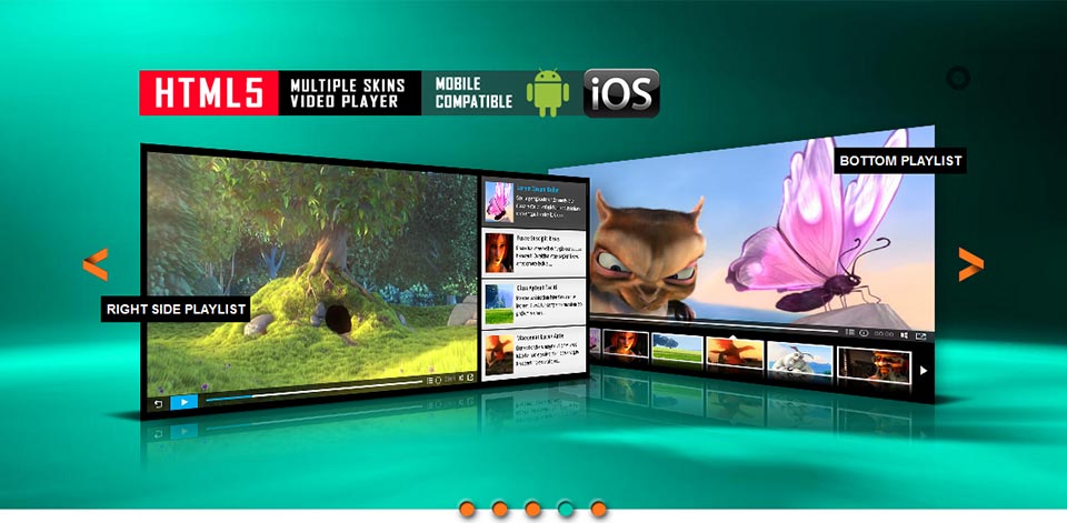 Content Slider - Common Skin - Full WIdth